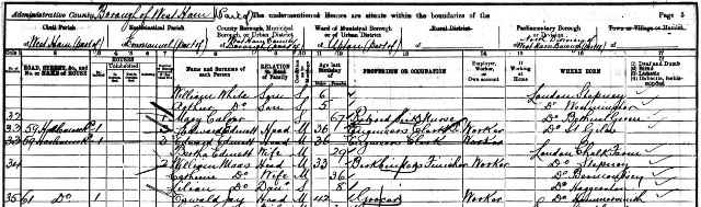 1901 maas census