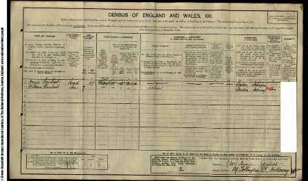 1911 census william