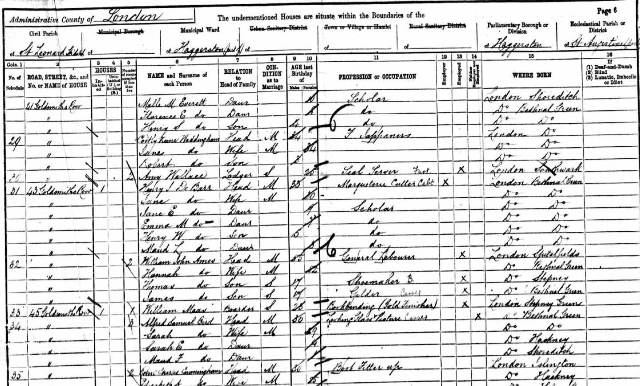 1891 census maas